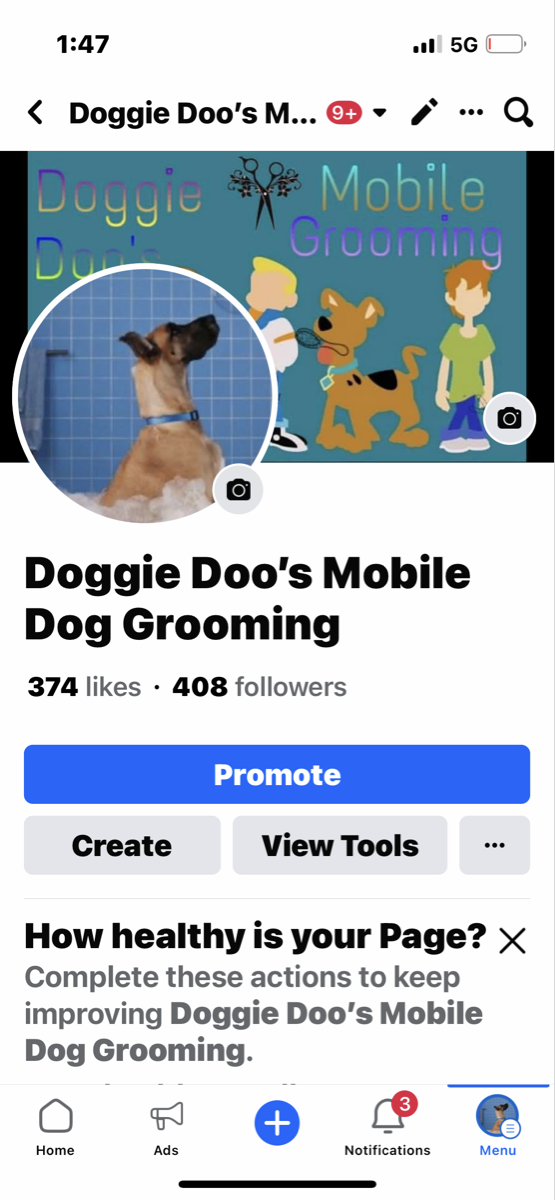 Doggie do's store mobile dog grooming