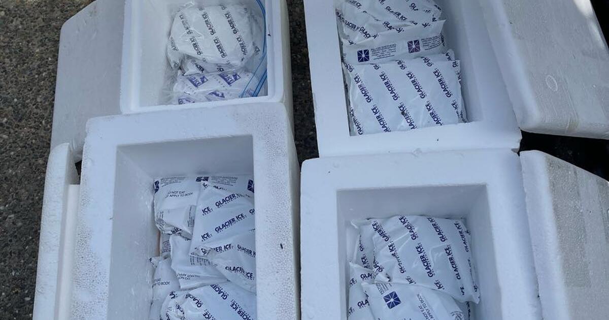 FREE STYROFOAM ICE CHESTS AND REFREEZABLE ICE PACKS for Free in El