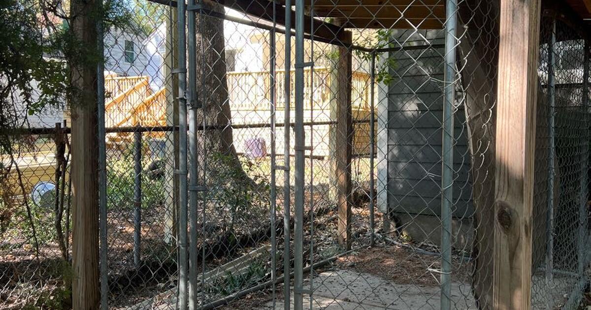 FREE Dog Kennel for Free in Memphis, TN Finds — Nextdoor