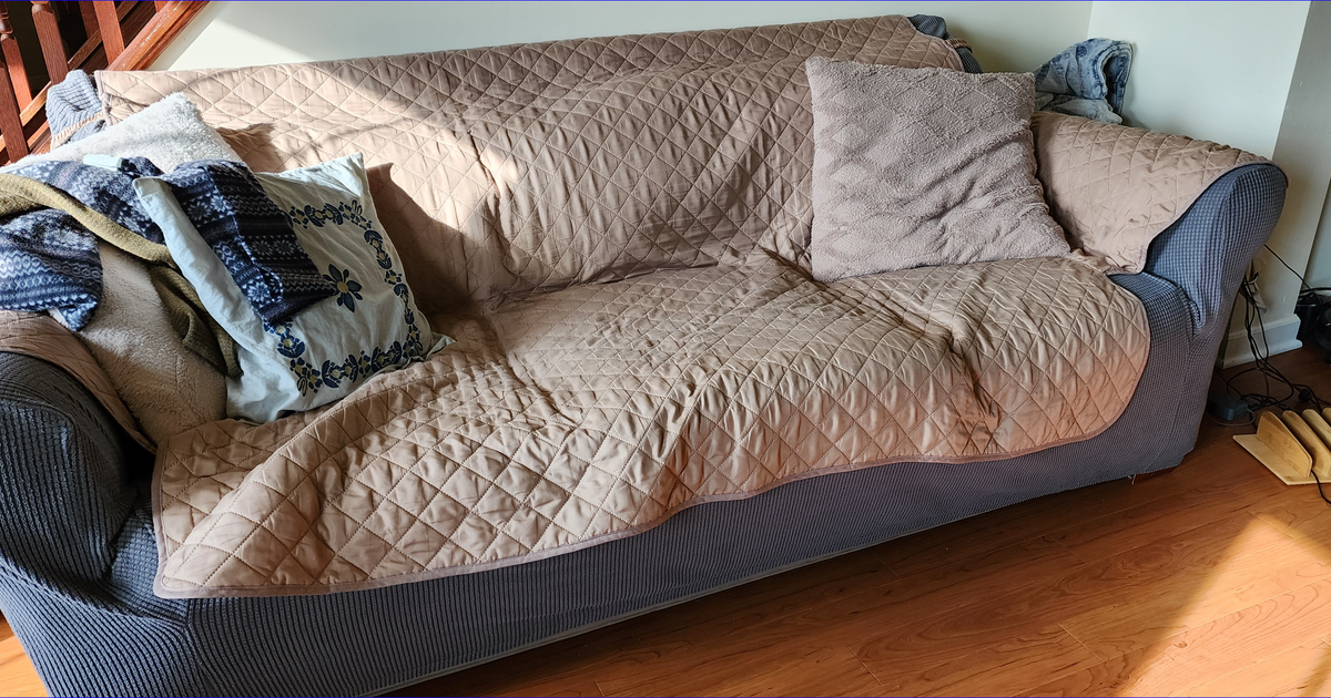 Two and Three Seat Couches for Free in Erie, CO For Sale & Free