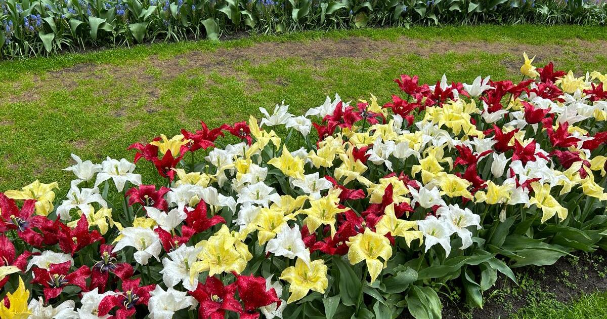 Outdoor Events In Bristol Ri Today Outdoor Events In Bristol Ri Today