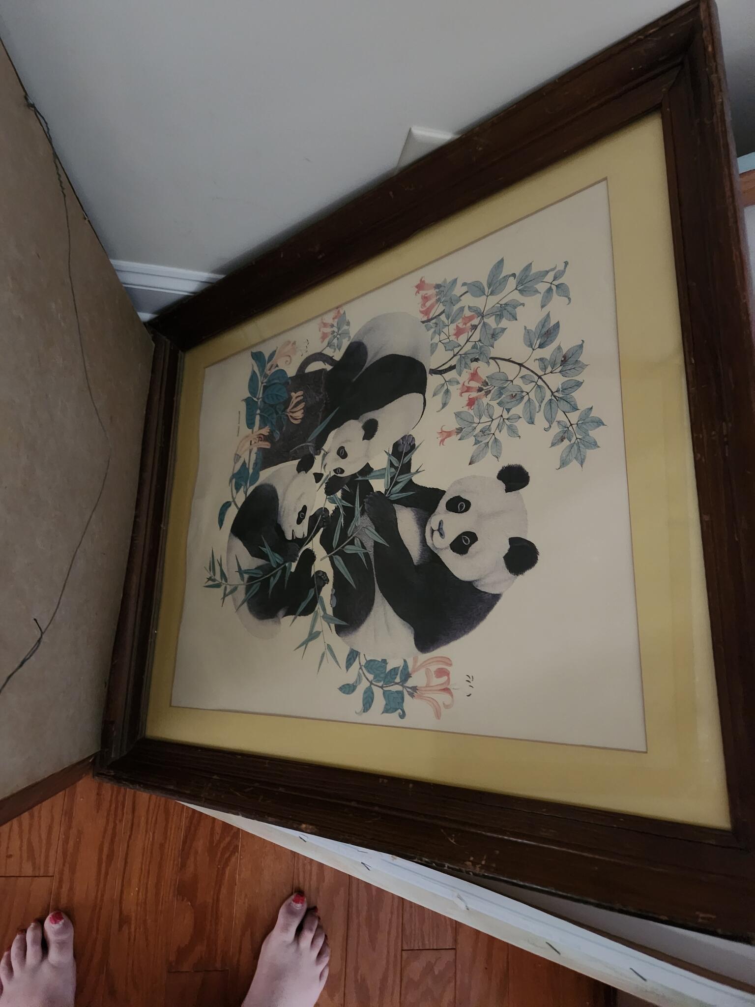 Paintings and pictures
