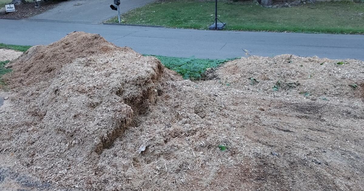 Wood Shavings (good for mulch) for Free in MN Finds