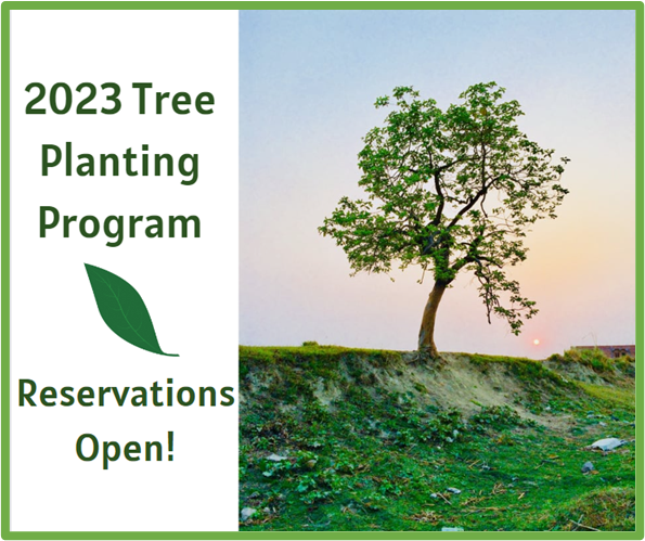 The City’s Tree Planting Program Is Now Open! (City Of Cherry Hills ...