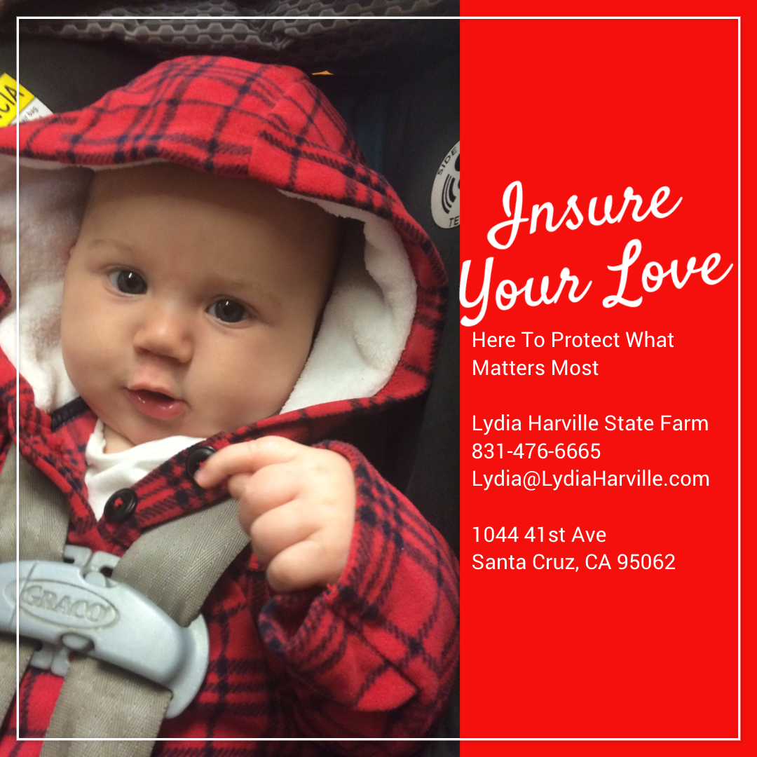 Lydia Harville State Farm Insurance Agent Santa Cruz CA