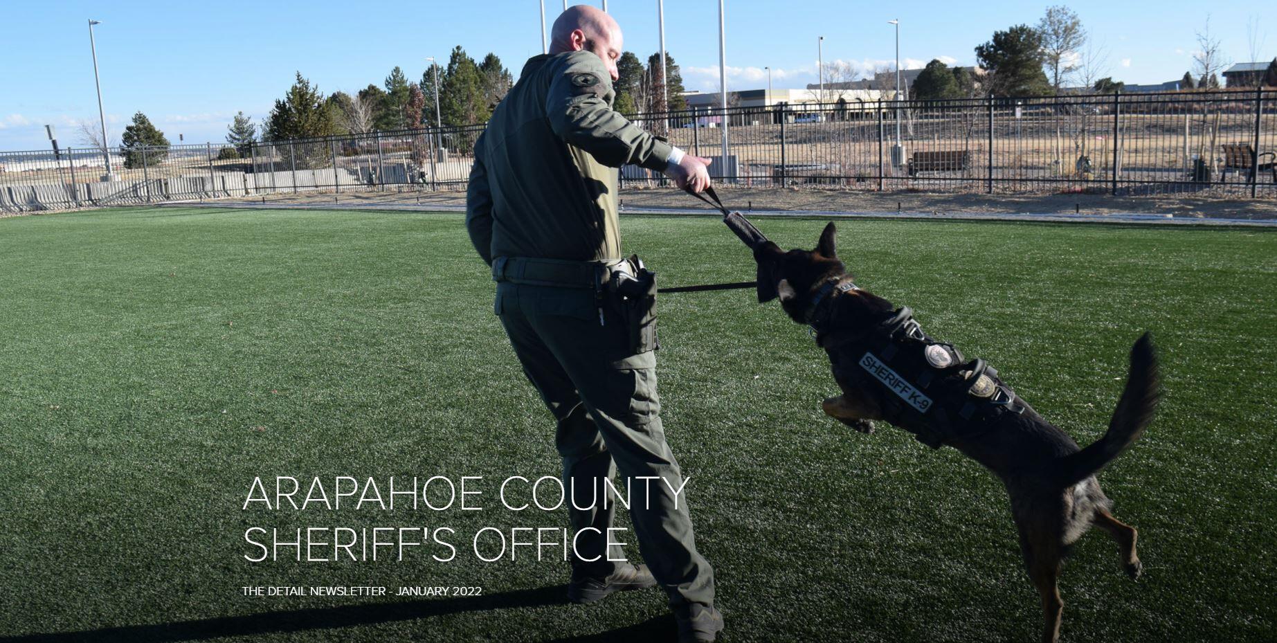 Here's a look at our top stories in The Detail Newsletter this month