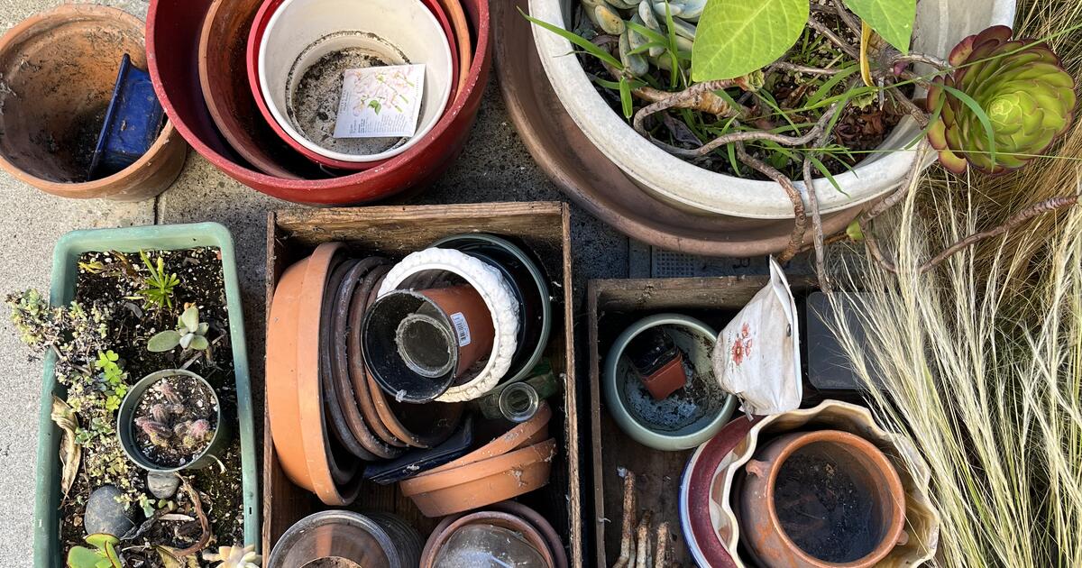 many garden pots large and small for Free in San Francisco, CA For