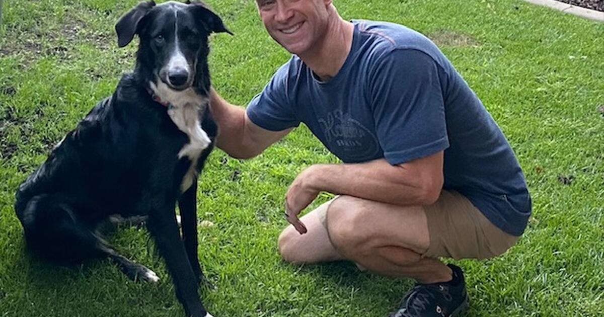 Affordable Dog Walking and Boarding Services in El Dorado Hills, CA