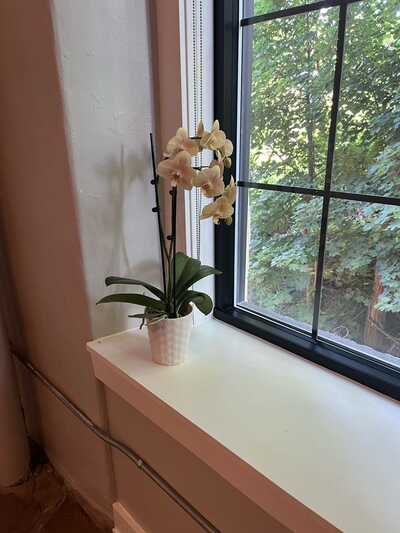 Fairmount Hardware Philadelphia PA Nextdoor