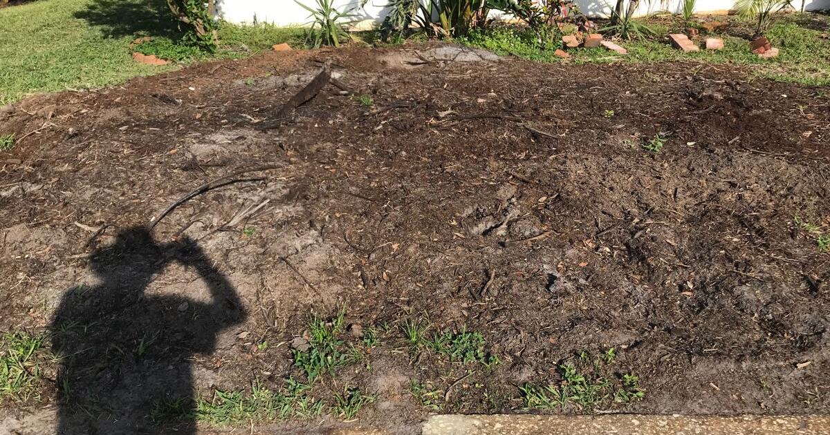 Top soil for Free in Englewood, FL For Sale & Free — Nextdoor