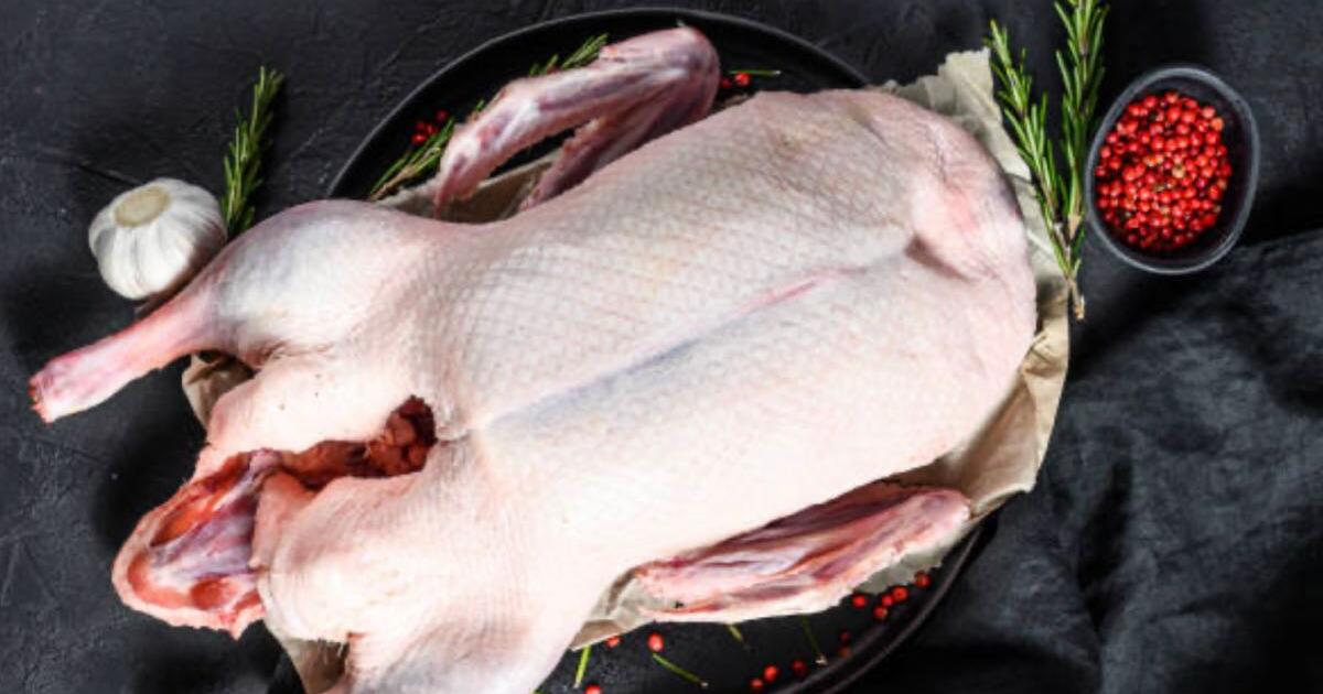 Muscovy duck meat for 35 in Warren, OH For Sale & Free — Nextdoor