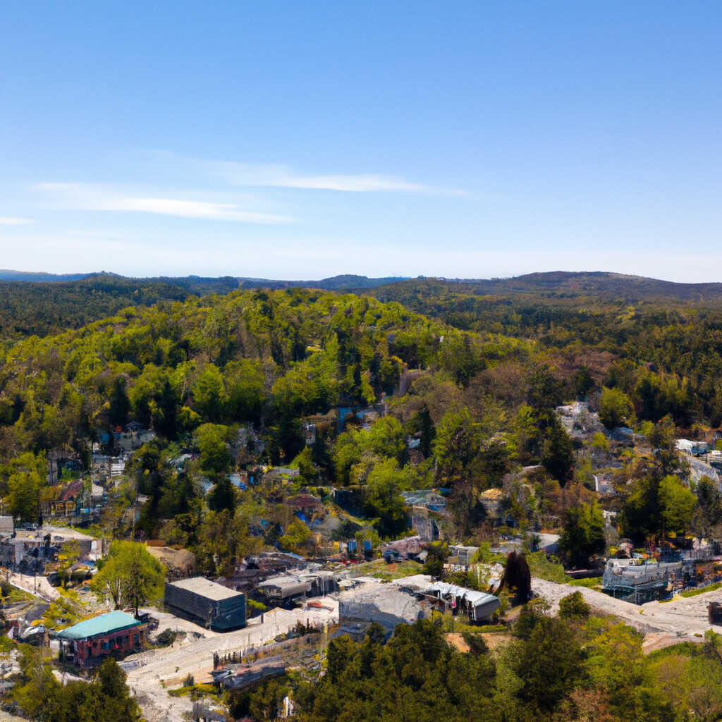 Woodland Pond, East Hampstead News, Crime, Lost Pets, Free Stuff