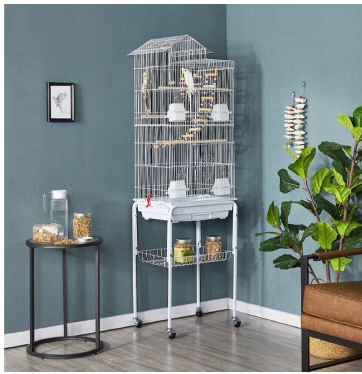 ISO Complete Bird Cage and Accessories for Free in Van Nuys, CA For Sale & Free — Nextdoor