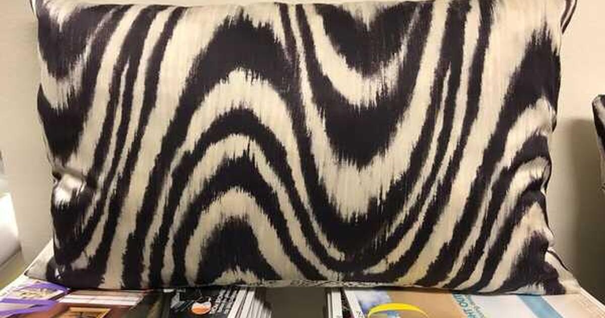 SETB OF 2 POTTERY BARN SILK PILLOW COVERS for 89 in Corona Del Mar, CA