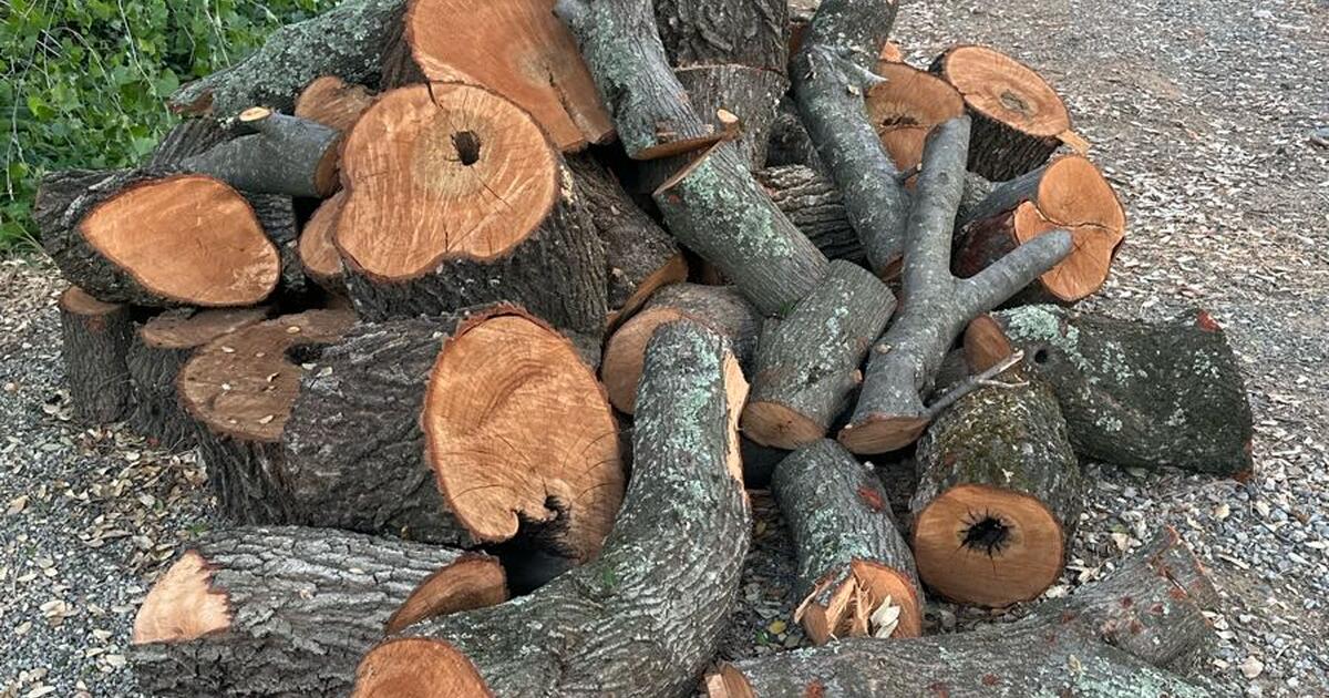 Free Firewood OAK for Free in Cameron Park, CA For Sale & Free