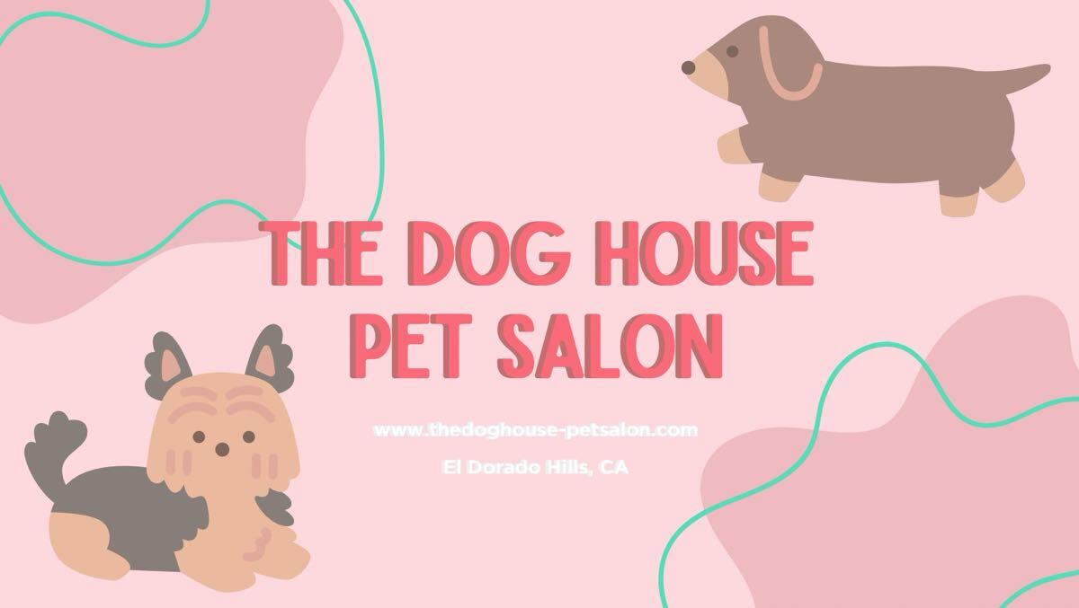 The dog house store salon