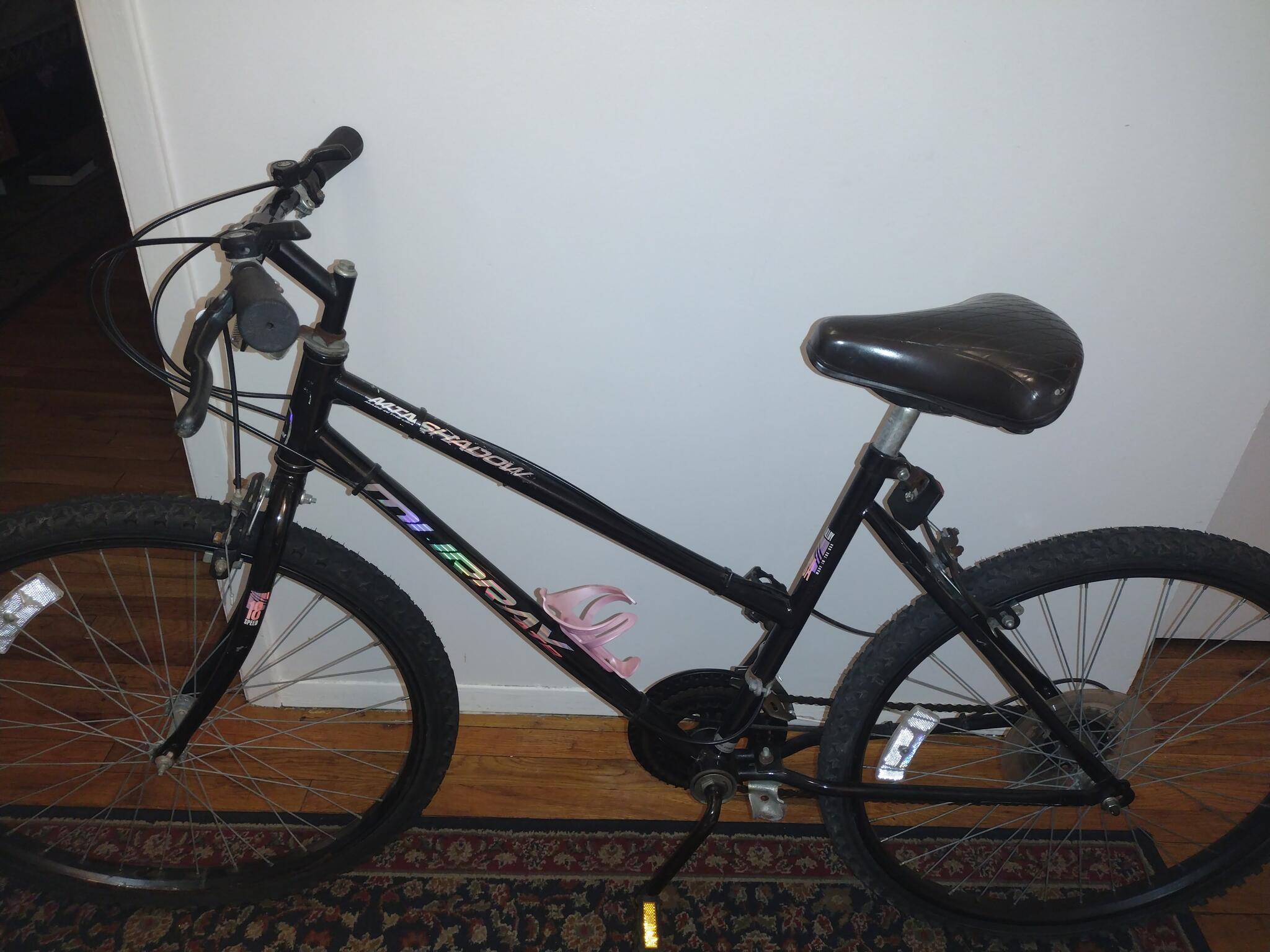 rand la cruiser bike price