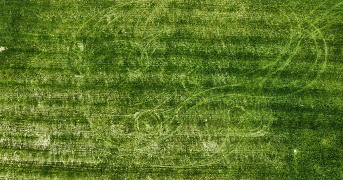 We Need Your Help Nextdoor