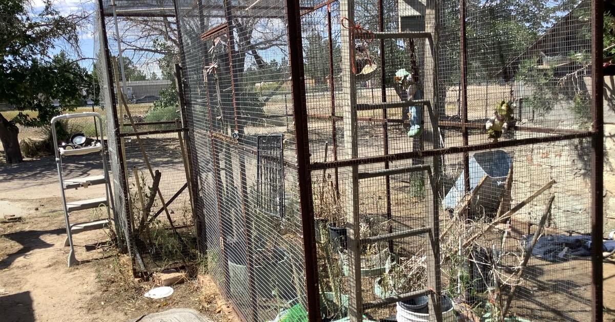 Parrot cage steel and metal fencing for $1200 in Las Cruces, NM | For ...