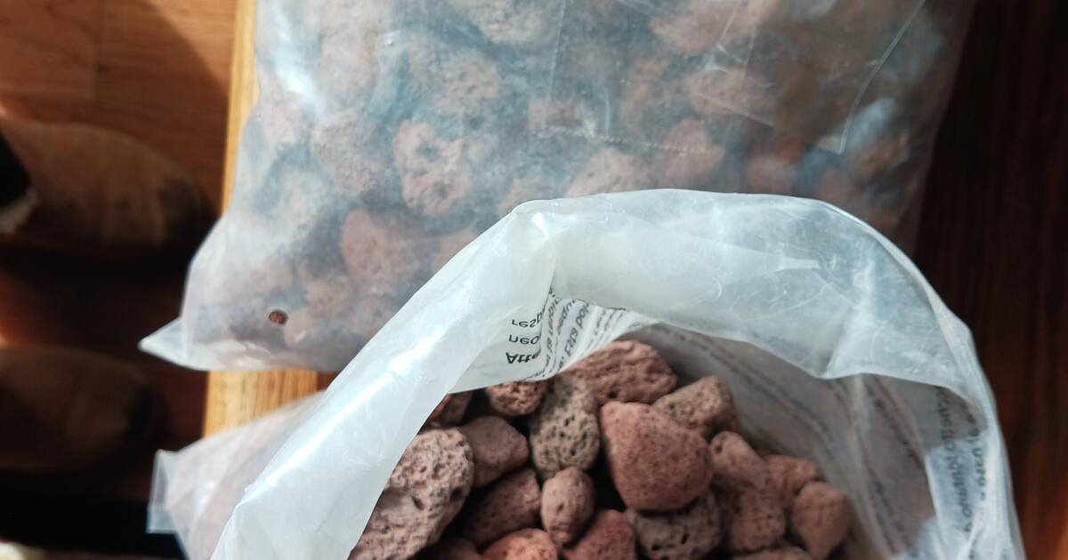 2 gallon bags of lava rock for Free in Pine Grove, CA For Sale & Free — Nextdoor