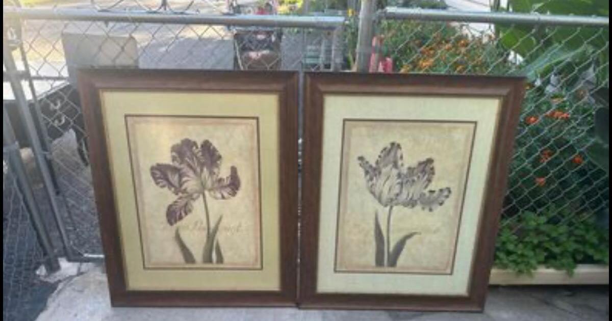 Free LARGE tulip prints for Free in Minneapolis, MN For Sale & Free