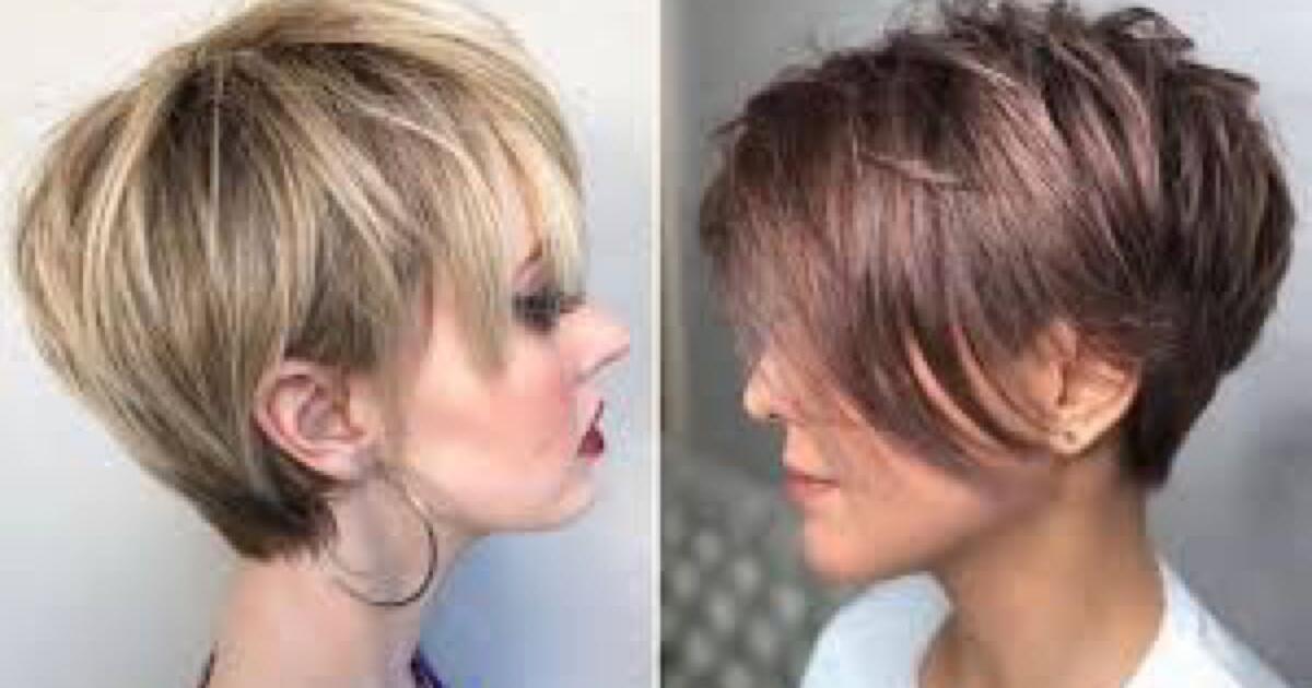 FREE HAIRCUT for Free in Arlington, TX Finds — Nextdoor