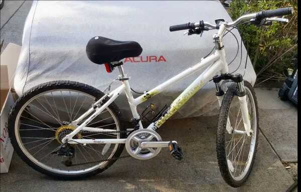 Diamondback lustre 2 sales