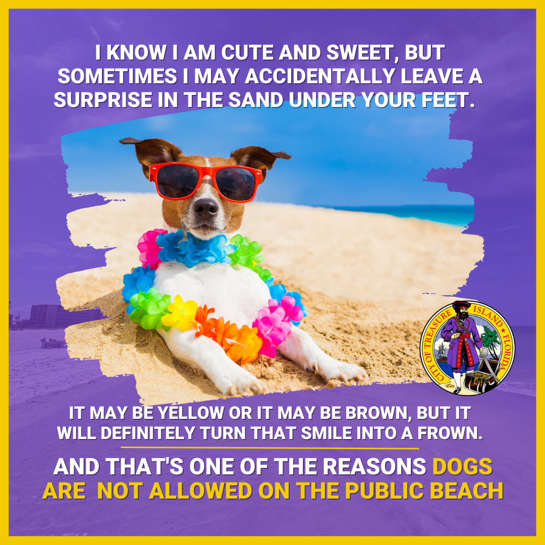 A Friendly Reminder: Dogs Not Allowed on Public Beach (City of Treasure