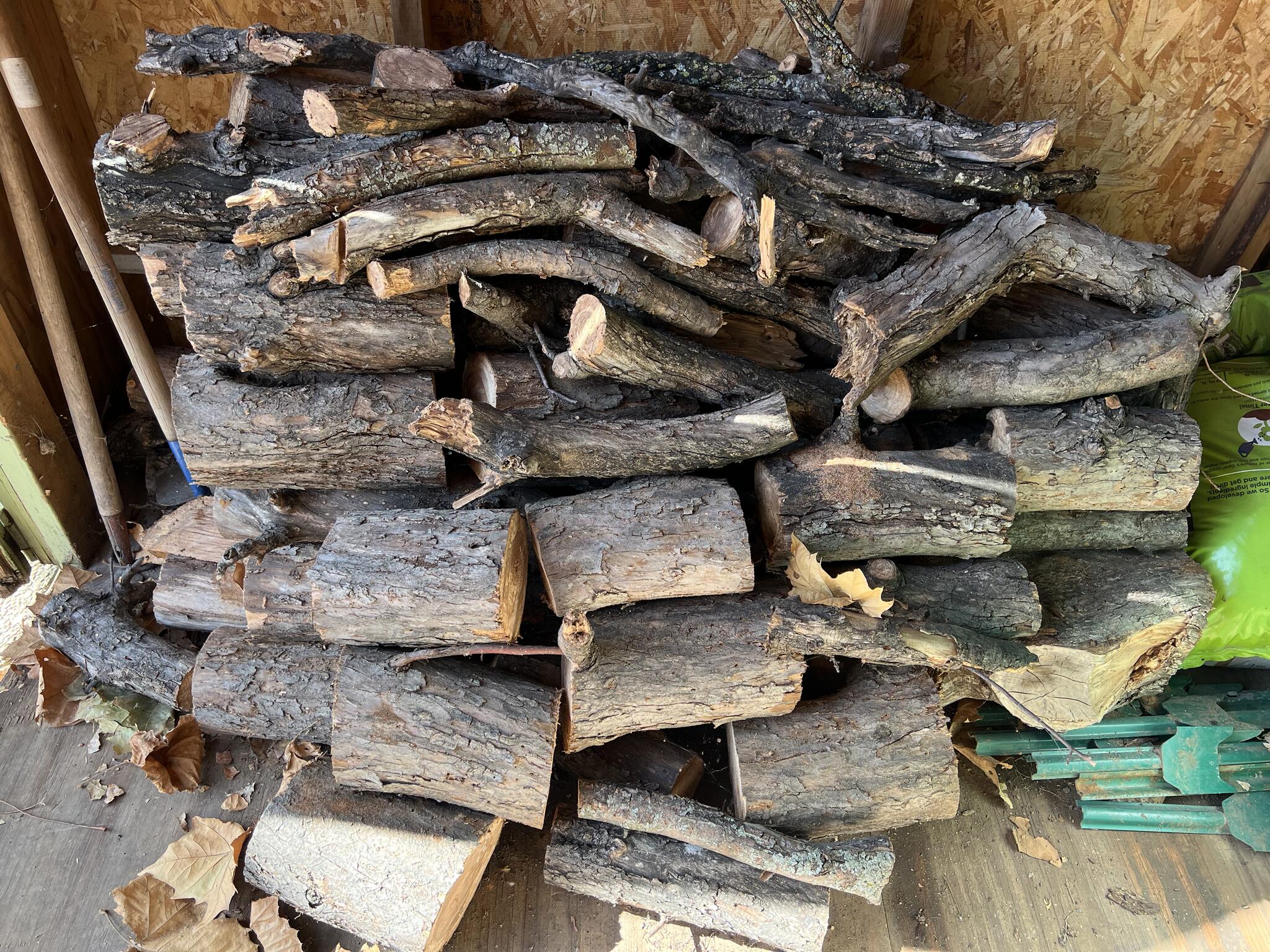 Dry logs/firewood