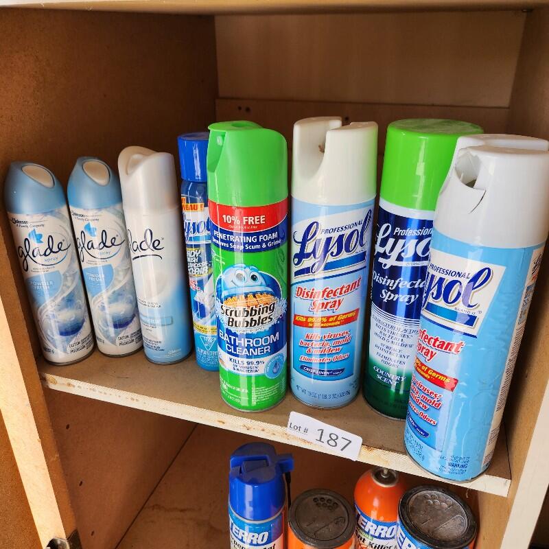 Mar. 23 Clovis Gated Community Online Auction. Ends Saturday 7p 10