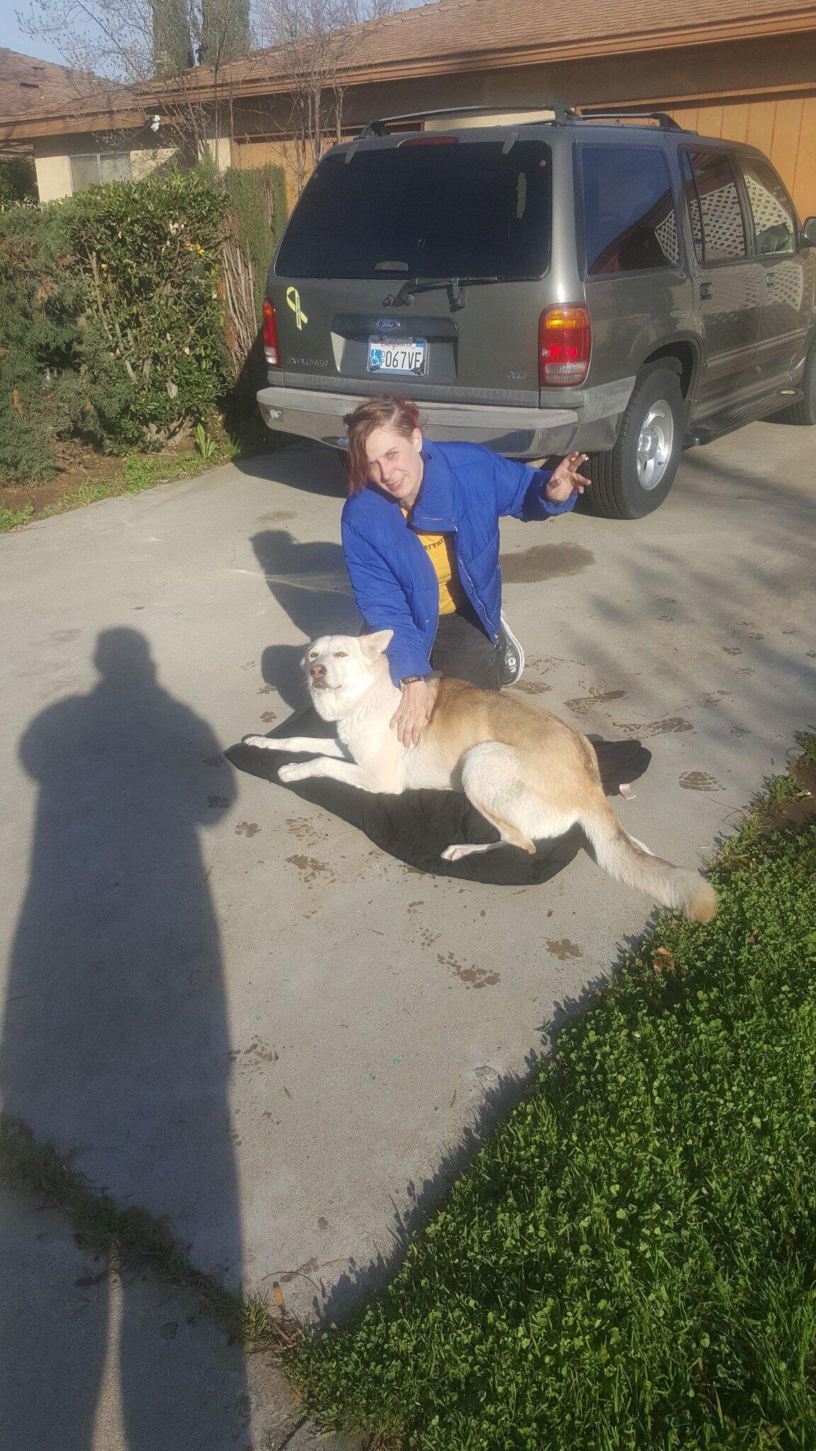 Pet Sitter/dog Walker/home Cleaner for Free in Fresno, CA For Sale