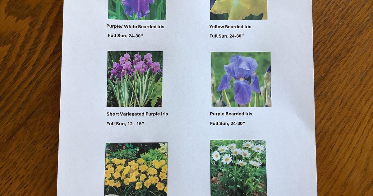 Habitat For Humanity ReStore Plant Sale in Madison, WI For Sale