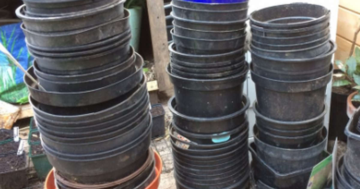 ISO free 3, 5 ,7 & 10gallon plastic nursery pots for Free in Lake