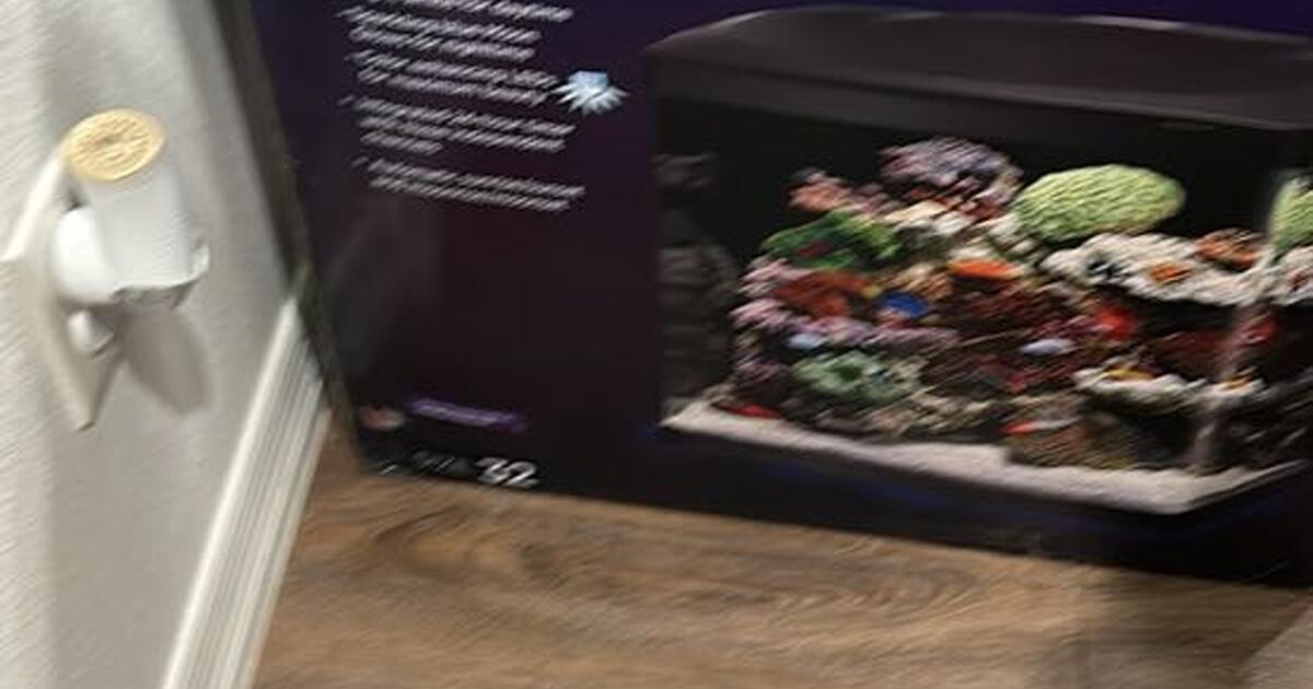 Aquarium Bio cube 32 for 225 in Gainesville, FL For Sale & Free — Nextdoor
