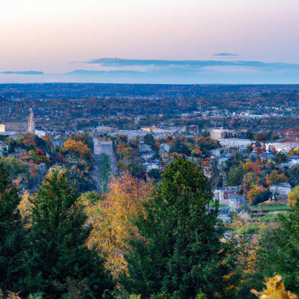 Things to do in wayne with kids
