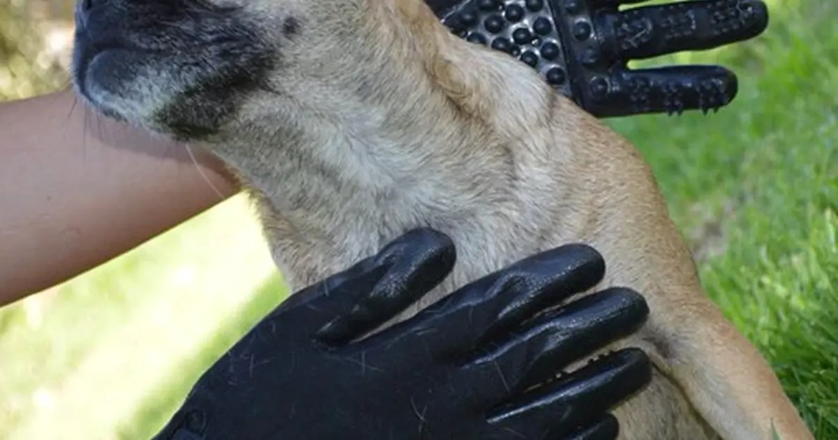 NEW UNOPENED Hands On Pet Shedding Bathing & Grooming Gloves for 15