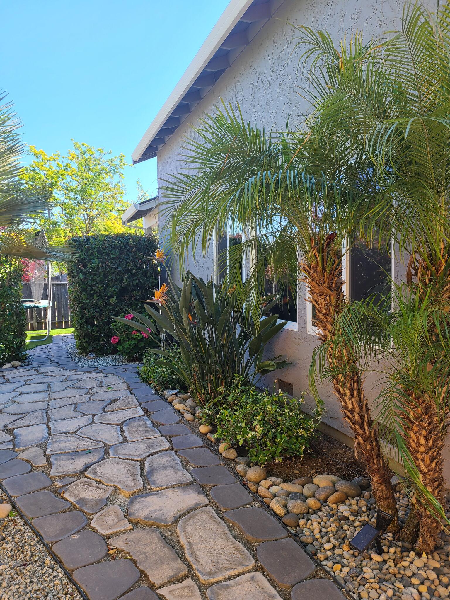 Landscape Gardener Rosemead thumbnail