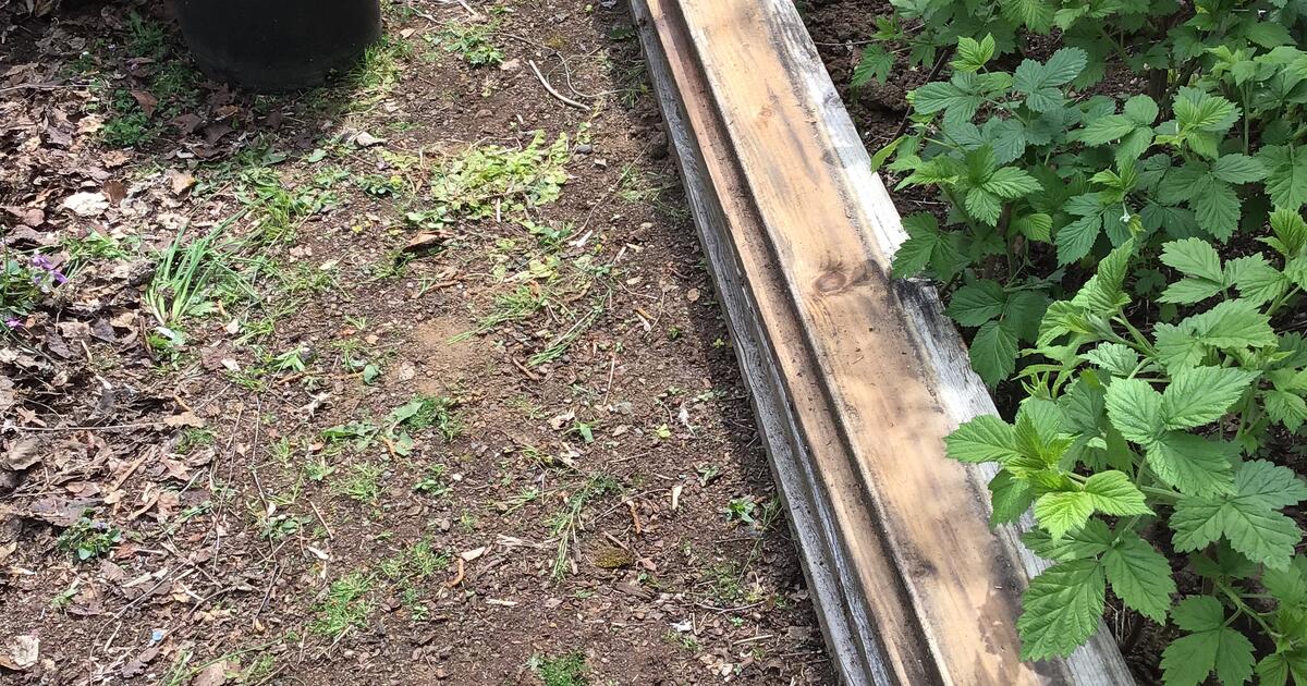 2-x-6-x-20-douglas-fir-4-for-free-in-portland-or-for-sale-free