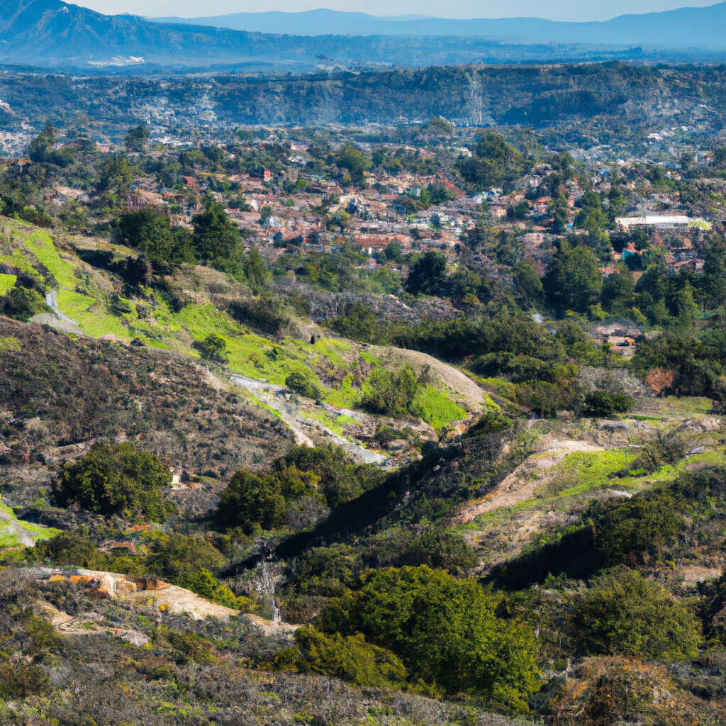 Pine Canyon, King City News, Crime, Lost Pets, Free Stuff