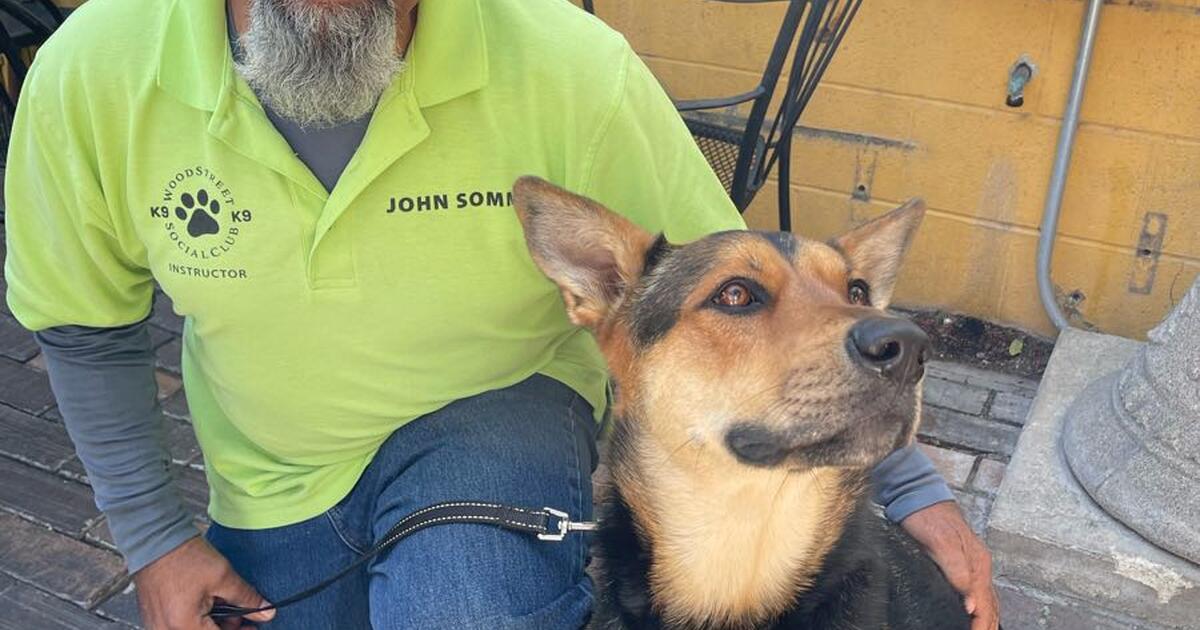 k9 obedience classes for Free in Riverside, CA For Sale & Free