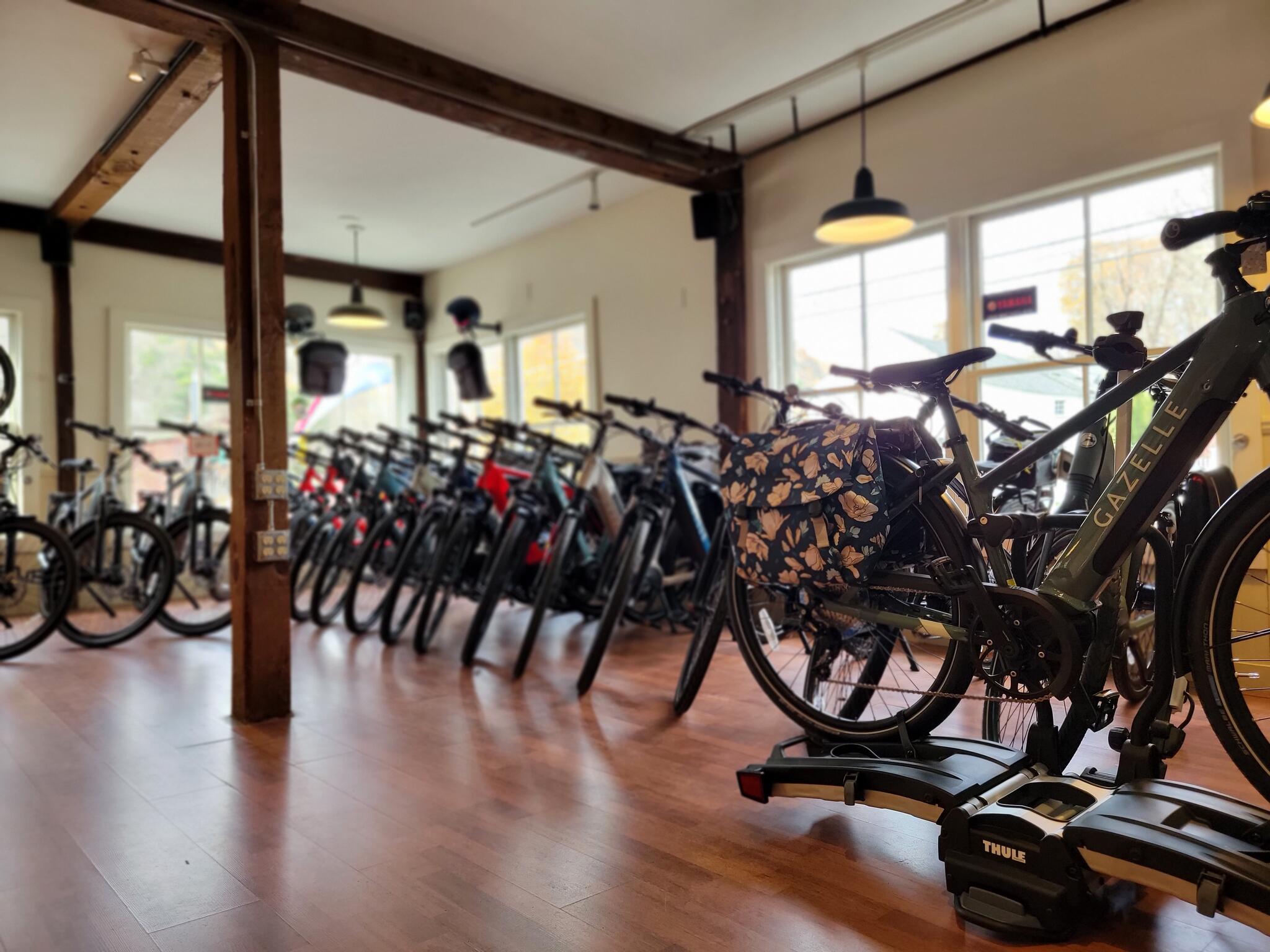 Covered bridge electric sales bike