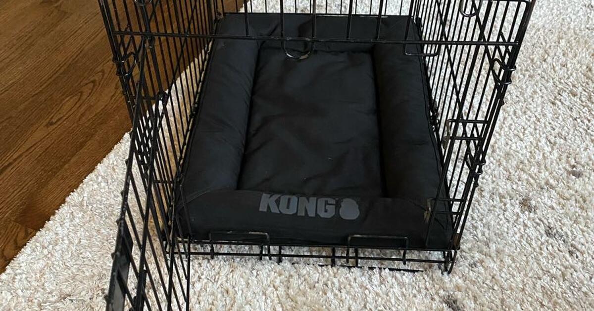 Dog Kennel with Kong pad Bridgemill Subdivision for 15 in Hypoluxo