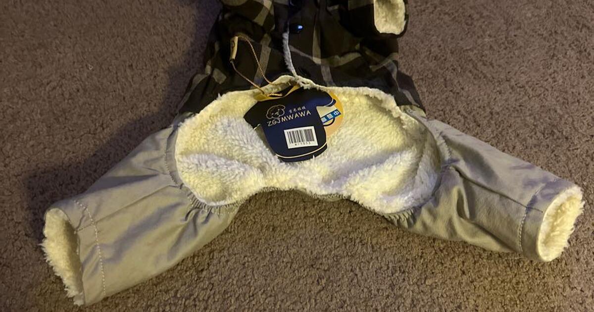 doggy-suit-for-10-in-san-diego-ca-for-sale-free-nextdoor