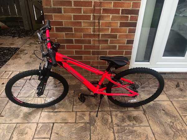 Team gx 24 bike hotsell