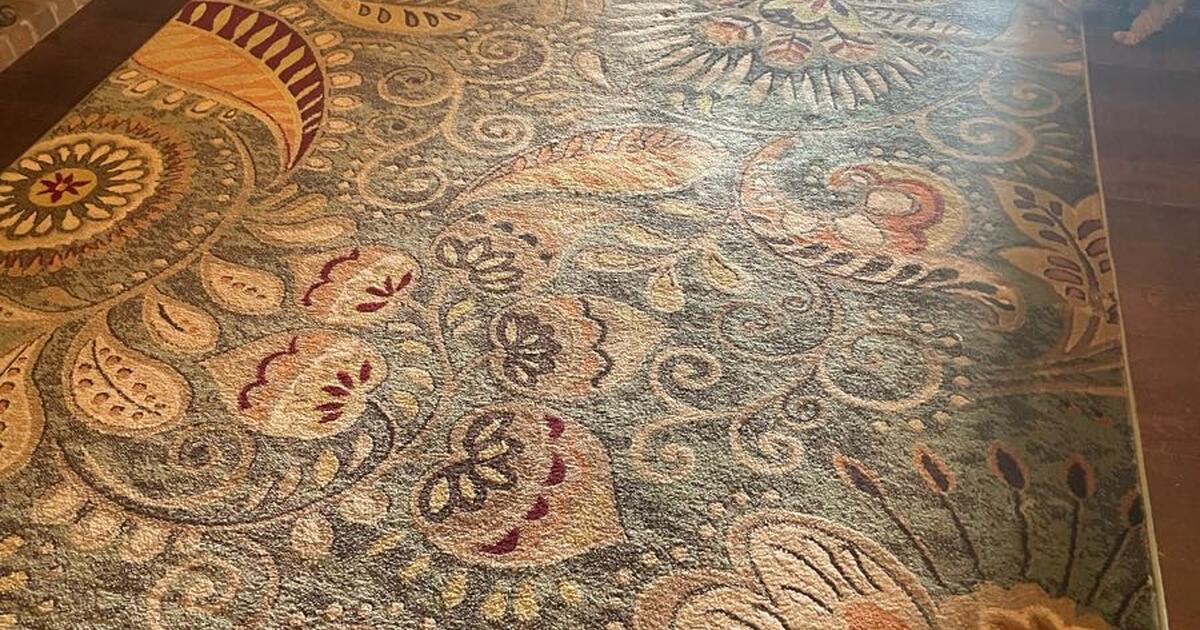 6’7” x 9’6” area rug for 30 in Edmond, OK For Sale & Free — Nextdoor