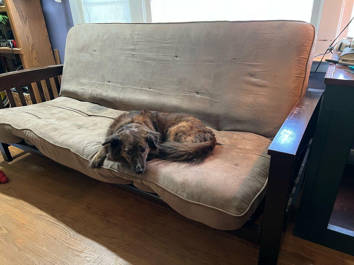 Free futon