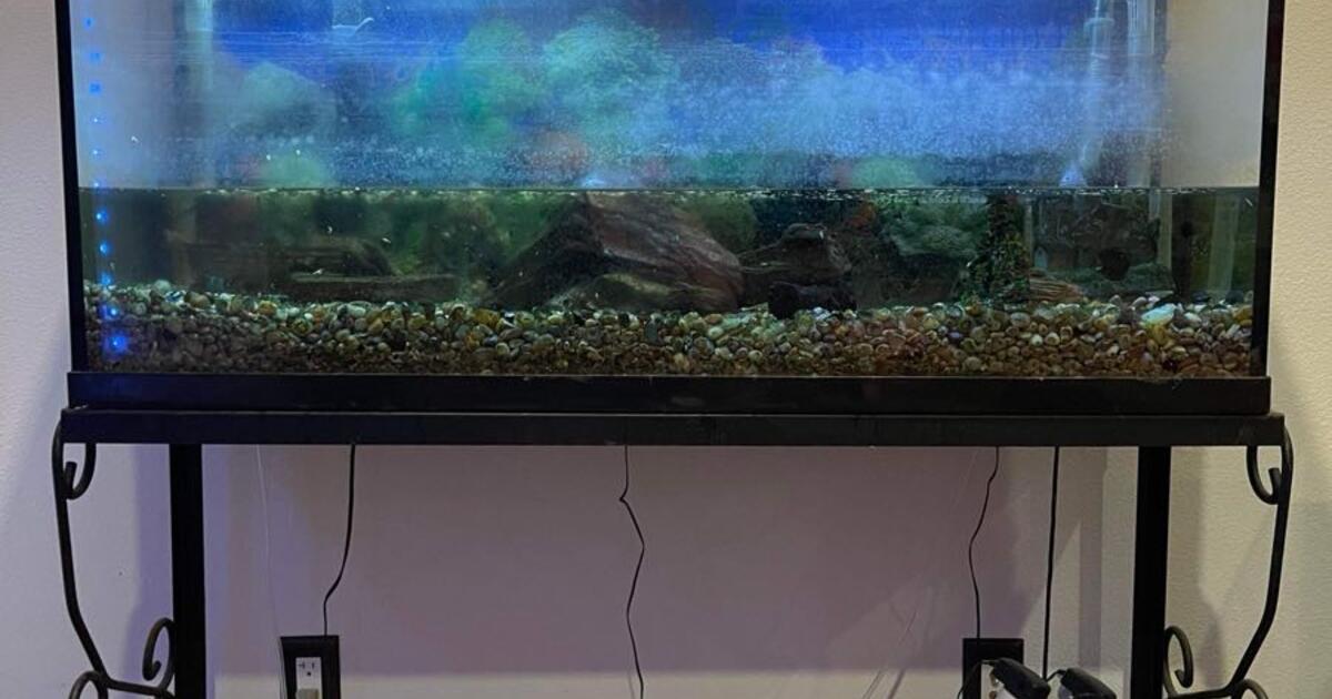 Fish tank for Free in Pleasanton, CA | For Sale & Free — Nextdoor