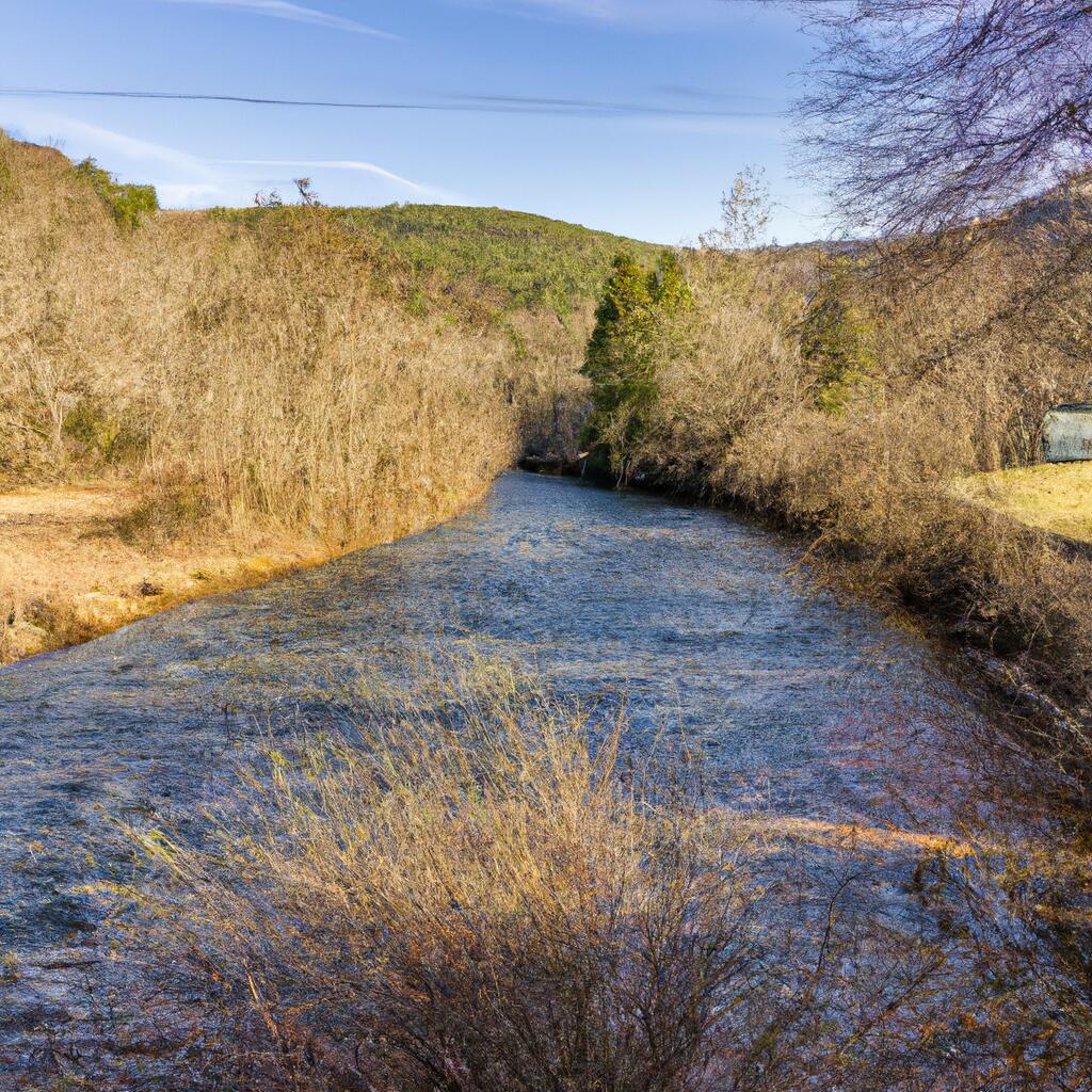 Shooting Creek, Hayesville News, Crime, Lost Pets, Free Stuff