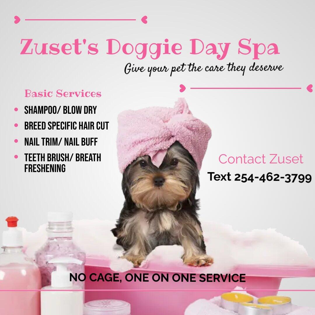 Doggie day spa near hot sale me