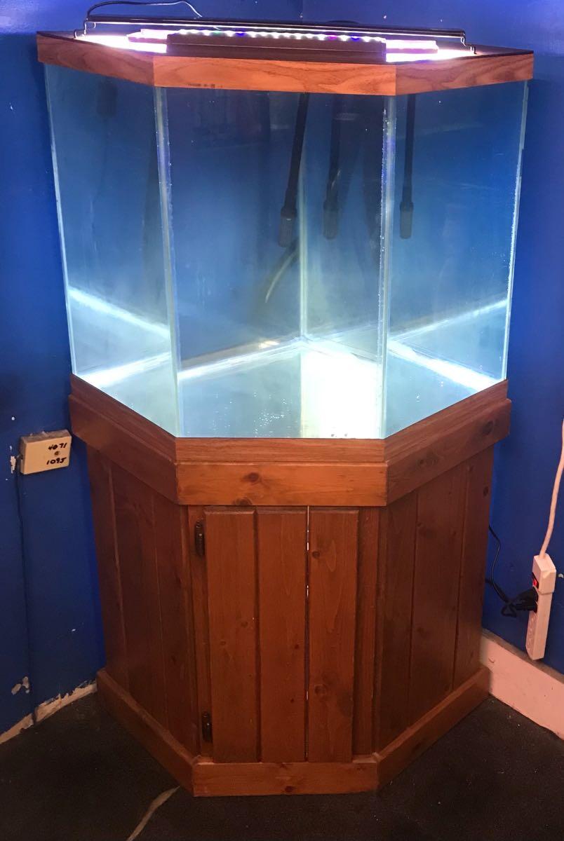 44 gallon 2024 pentagon aquarium hood